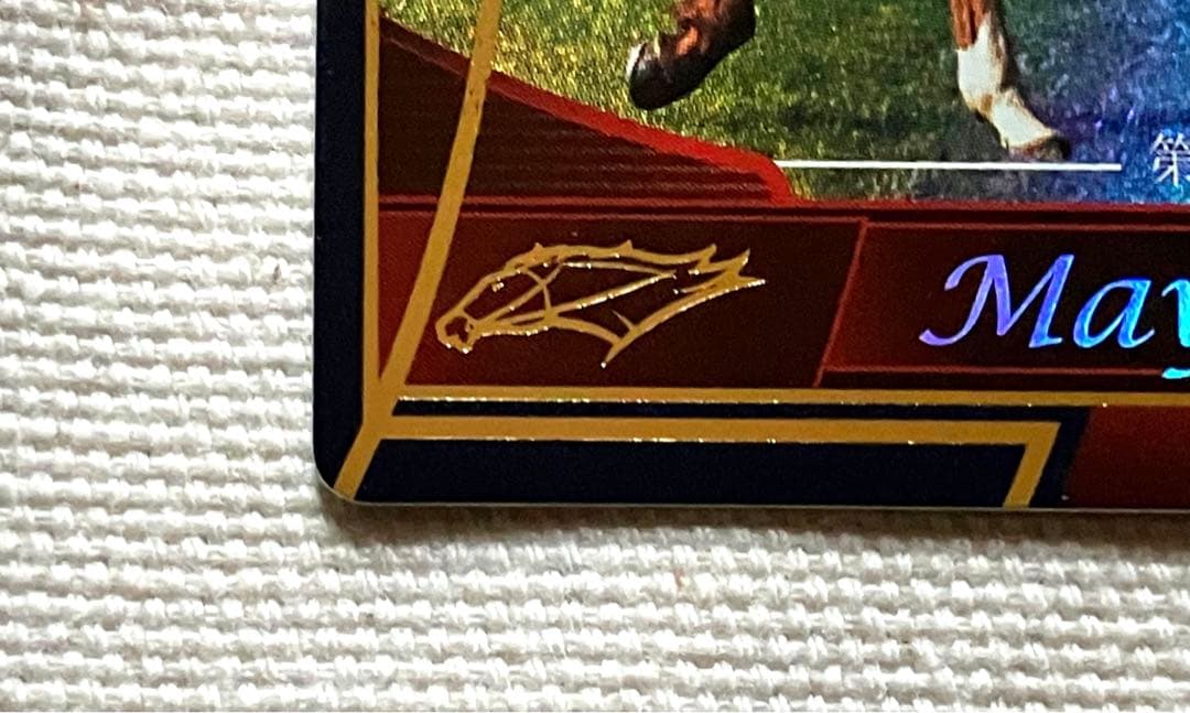 ホースライダーズ マヤノトップガン