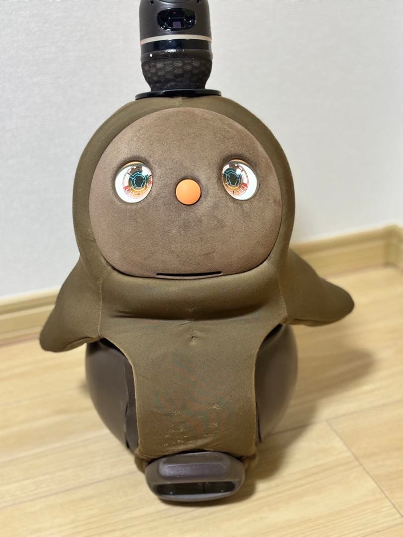 hana様専用】LOVOTラボット2.0本体 ウェア4枚【2023年購入】 - メルカリ