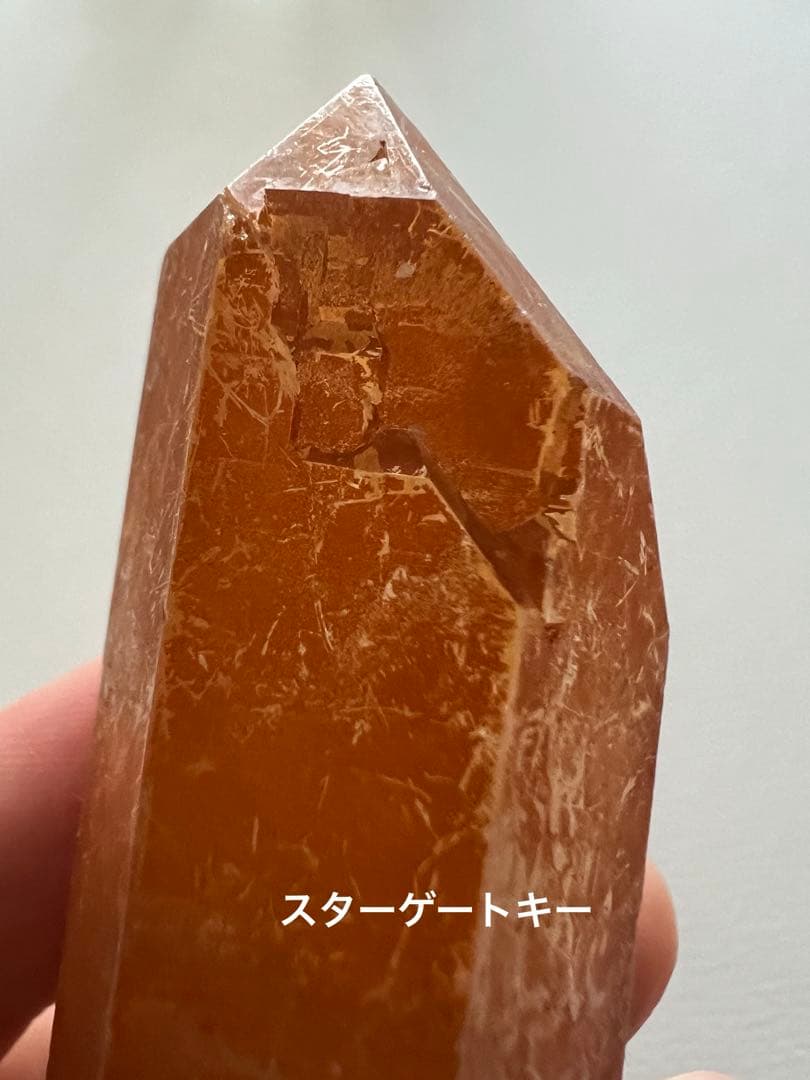 ゴールデンヒーラー(セーラデカブラル産)ゲート／スターゲートキー