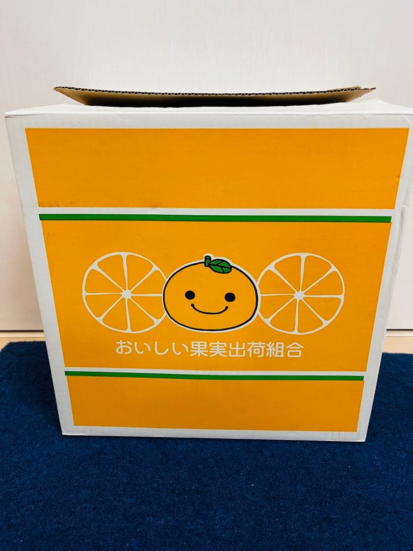 みかんぼうや　サンエックス　ぬいぐるみセット　レトロ