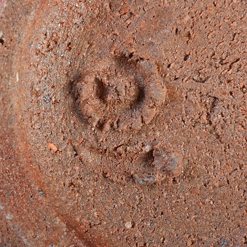 和食器 備前焼 五子窯 前嶋五一郎作 小皿 六客 共布共箱