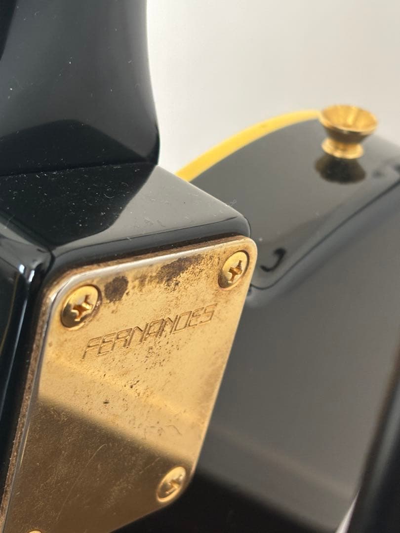 Fernandes フェルナンデス　TEJ 55g 中古