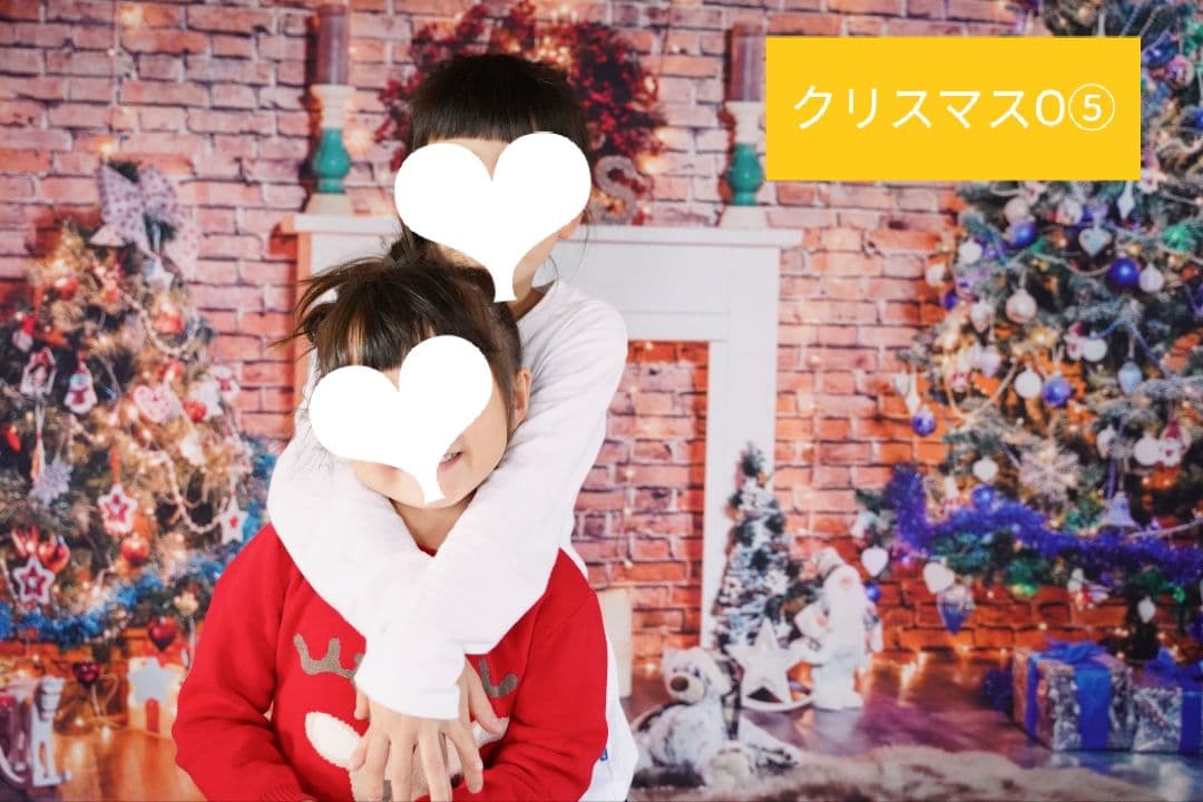 紅葉 背景布秋D③ ペット撮影用フォトブース トリミングリボン