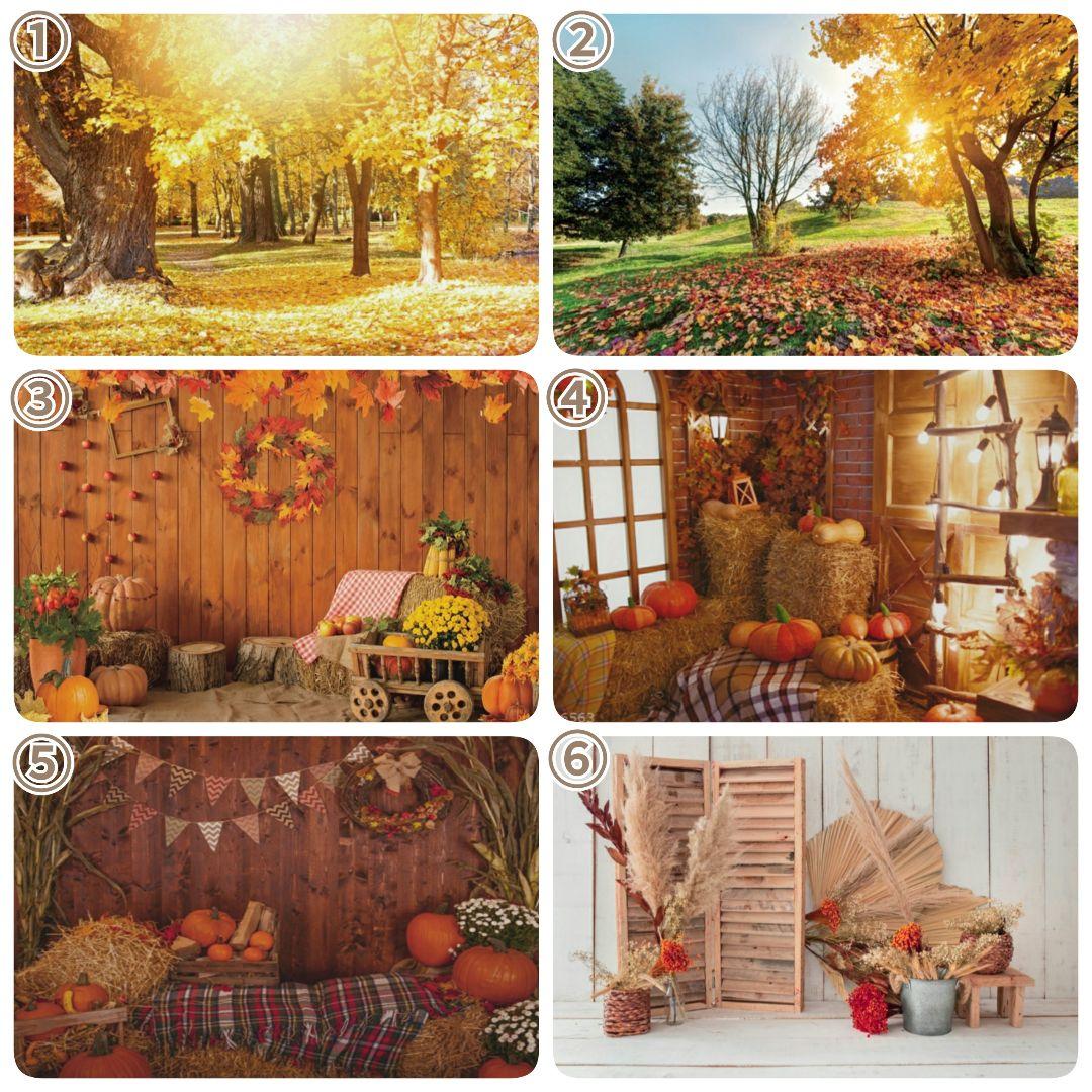 紅葉 背景布秋D③ ペット撮影用フォトブース トリミングリボン