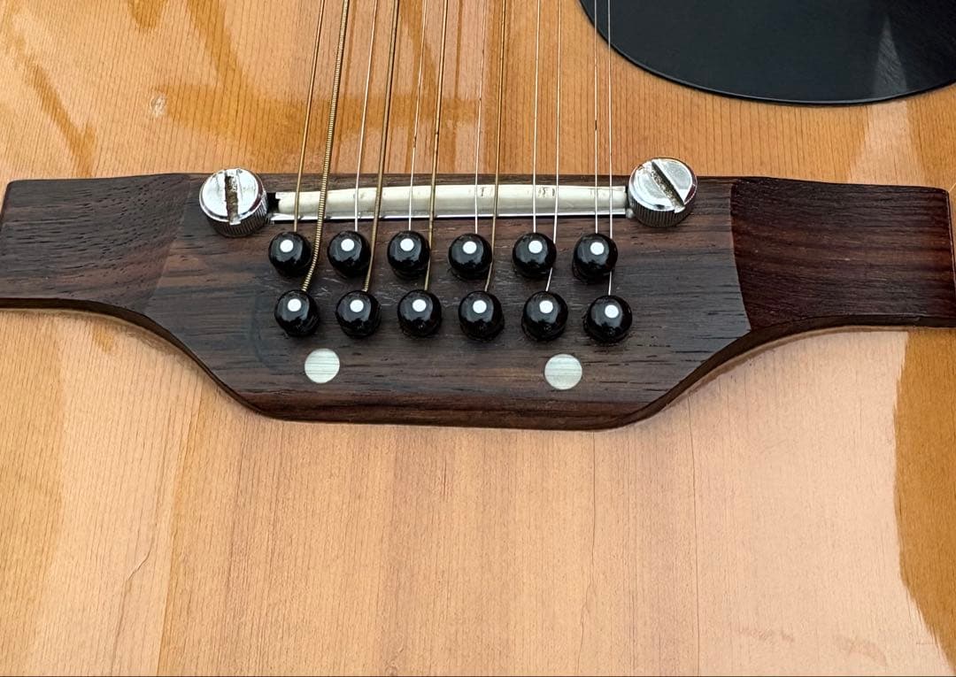 レア】ARIA ビンテージ 12弦 アコースティックギター Aria 12弦