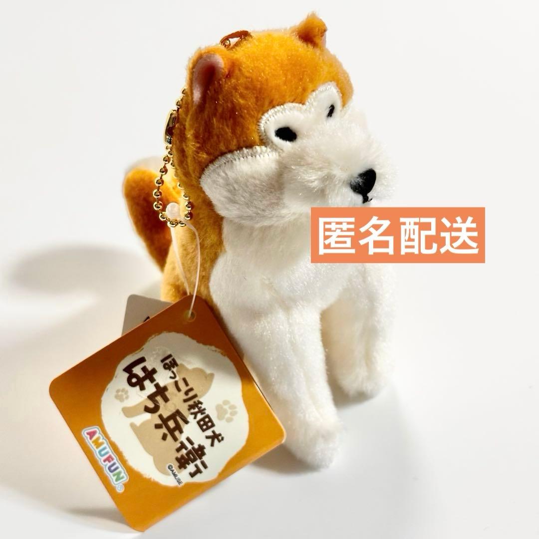 ほっこり秋田犬 はち兵衛 ぬいぐるみキーホルダー ぽかまる - メルカリ