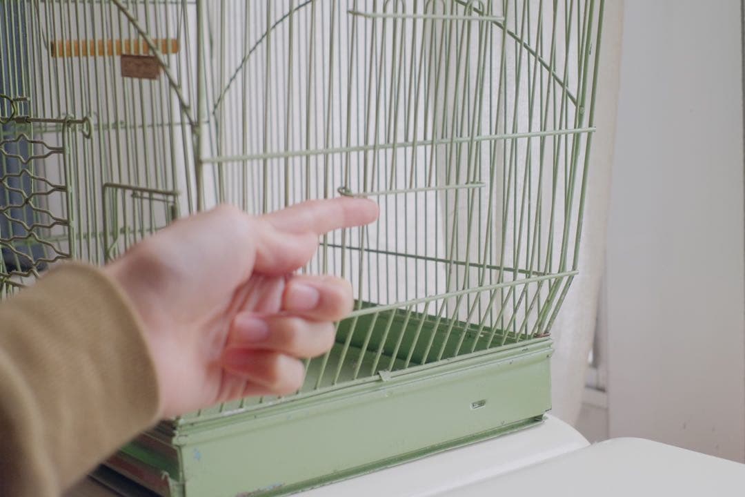 アンティーク 鳥かご バードケージ kinsen ビンテージ 文鳥 小鳥 琴線