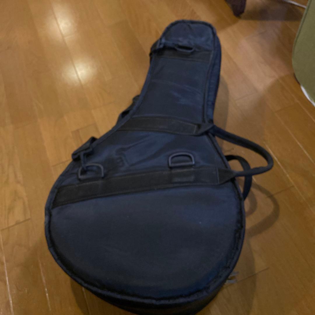 超希少‼️良品　アルハンブラ　バンドゥリア　スペイン製　12弦　弦楽器　民族