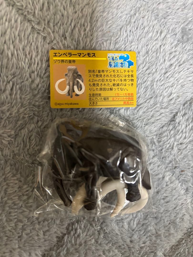 戦え絶滅動物PART2 宮川アジ　ドードー　マンモス　オオカミ　アシカ　キタタキ