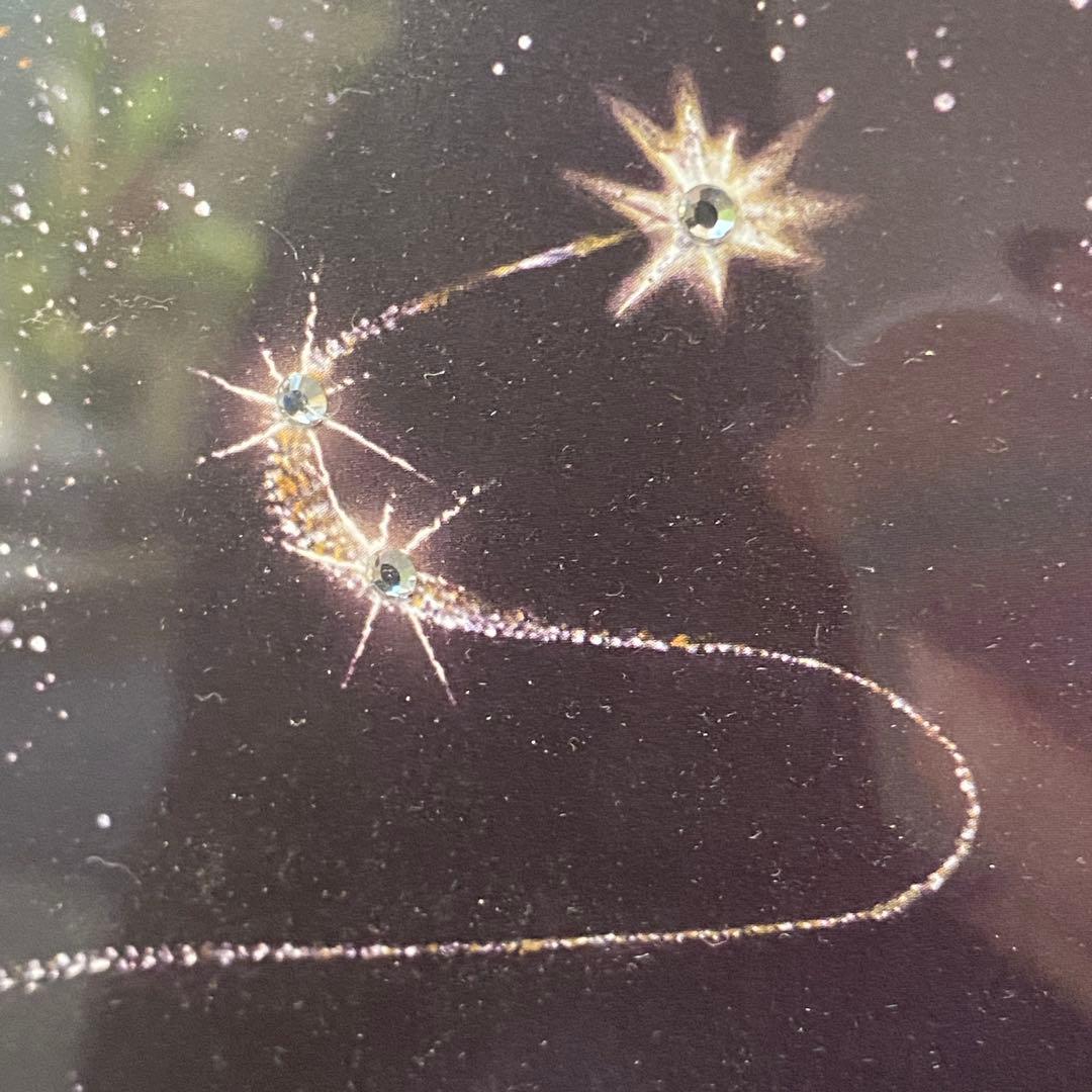 ミッキー魔法使い 限定版 スワロフスキー エディションリトグラフ