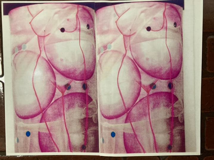 静物、薔薇の花、空飛ぶ前衛美術家、糸川裕志の希少な作品、