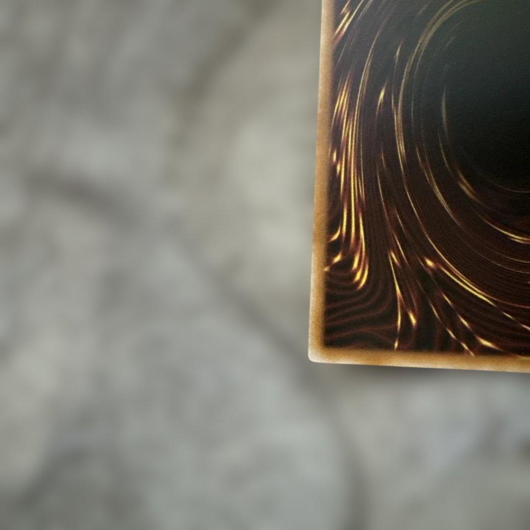 遊戯王 The Fallen & The Virtuous プリシク ローダー付