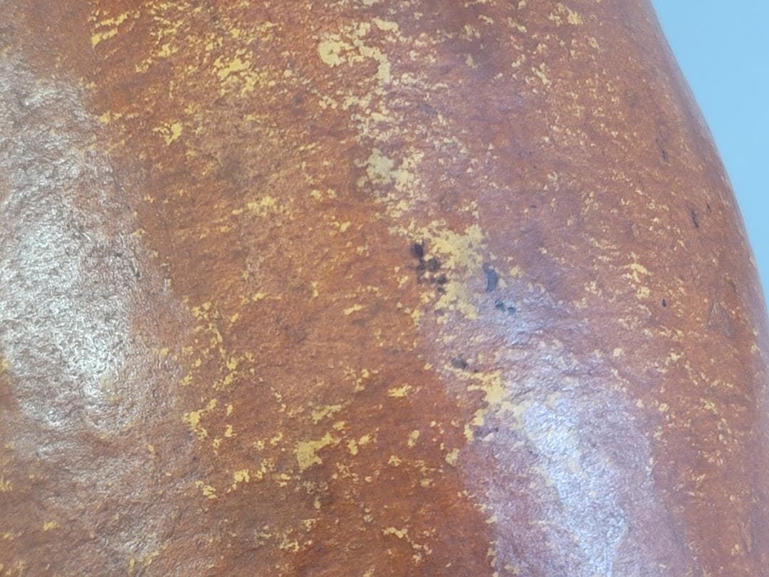 DT351 茶道具 瓢泉堂造 瓢水指 共箱