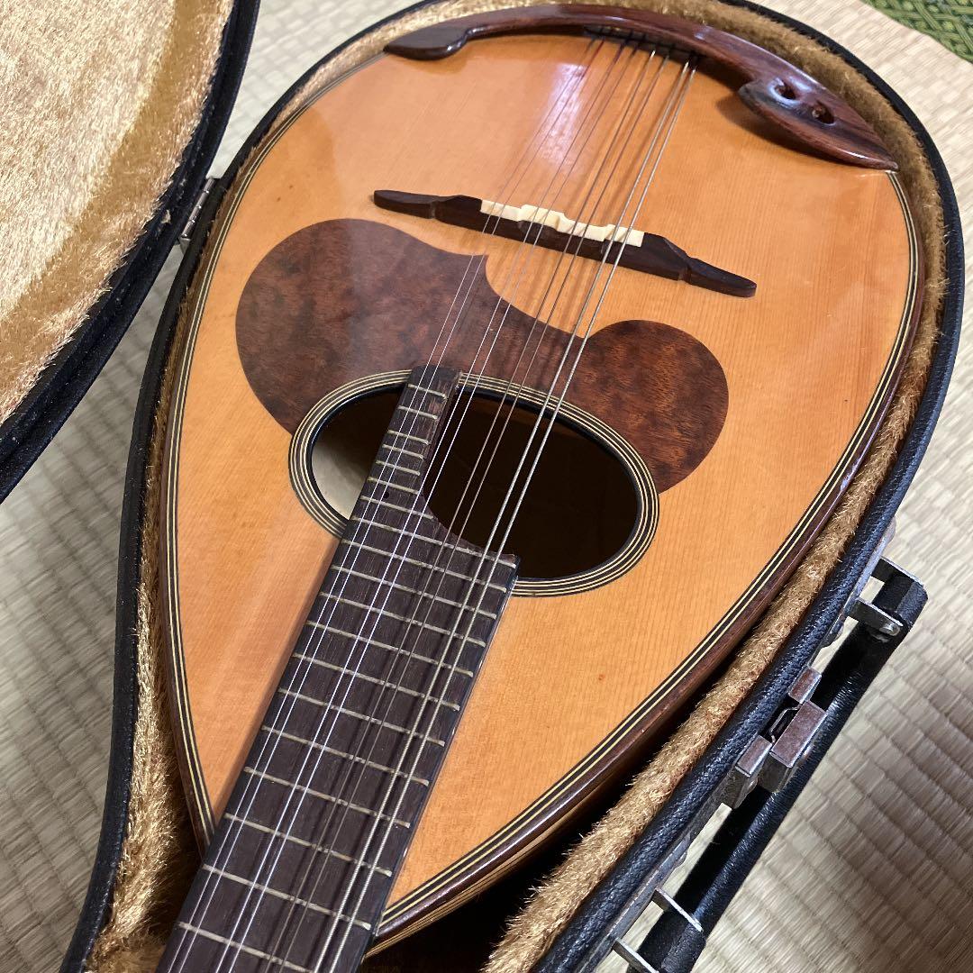 SUZUKI M-30 マンドリン ハードケース付き SUZUKI M-30 マンドリン