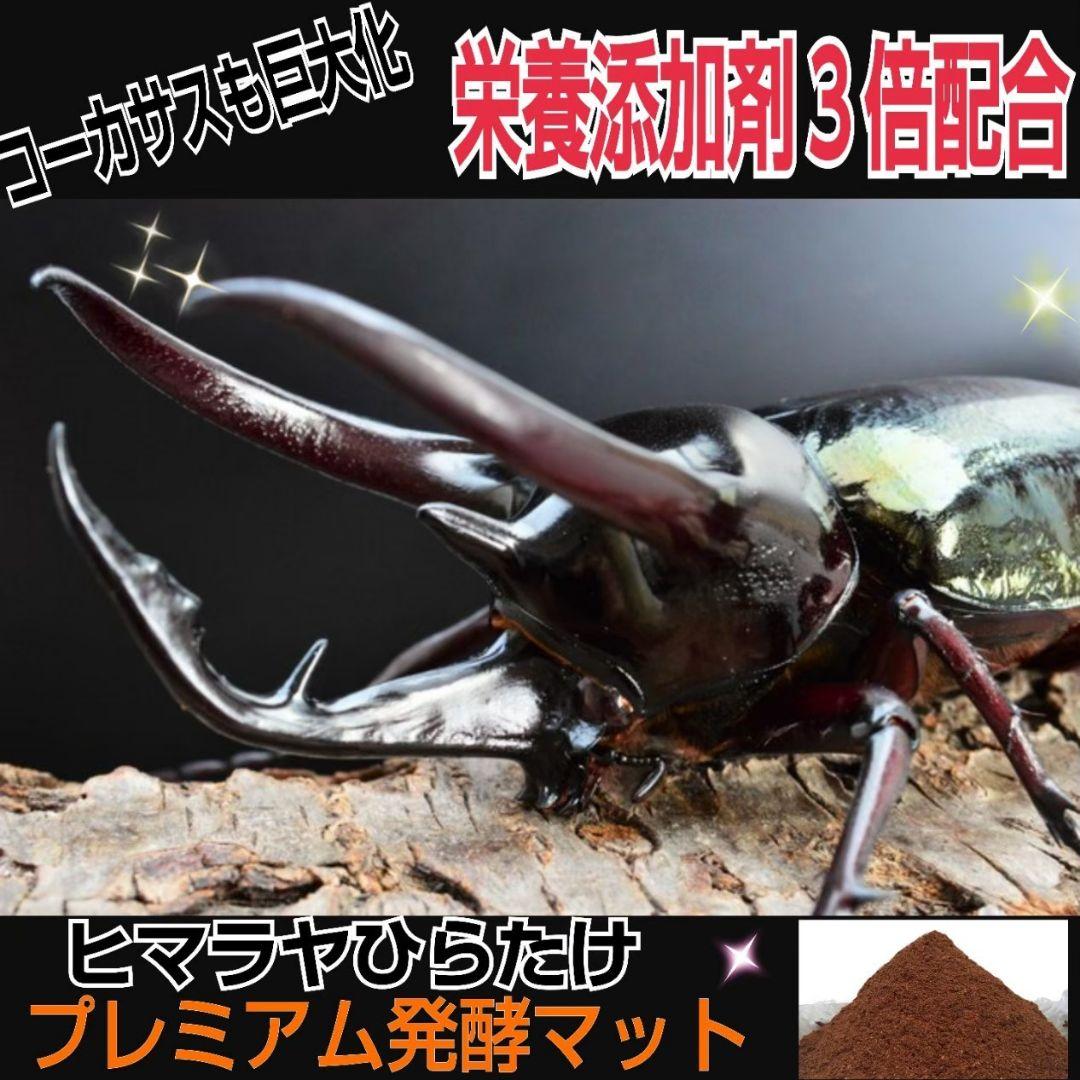 増量【80リットル】プレミアム3次発酵カブトムシマット☆特殊アミノ酸