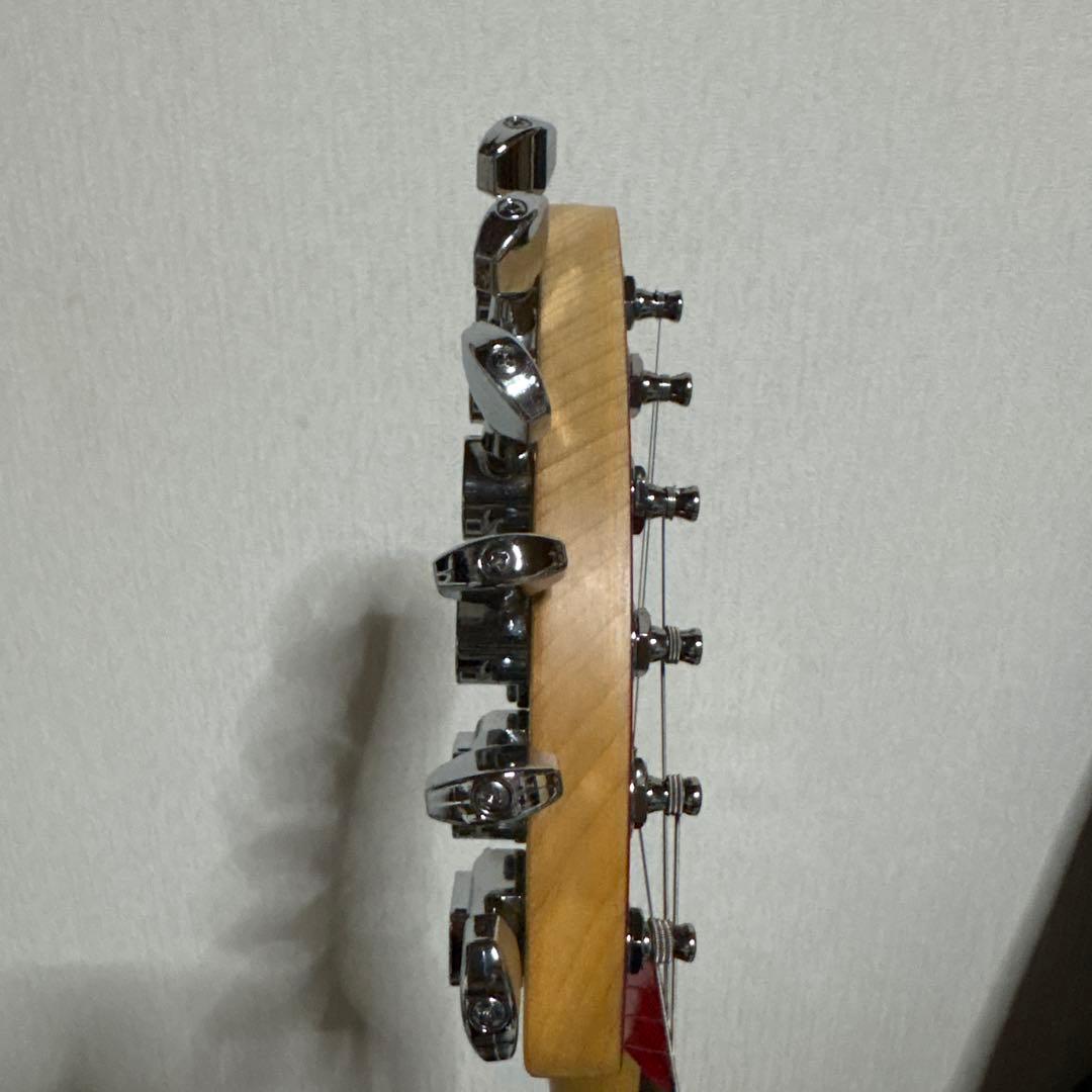 FERNANDES フェルナンデス ZO-3 エレキギター ソフトケース 楽器