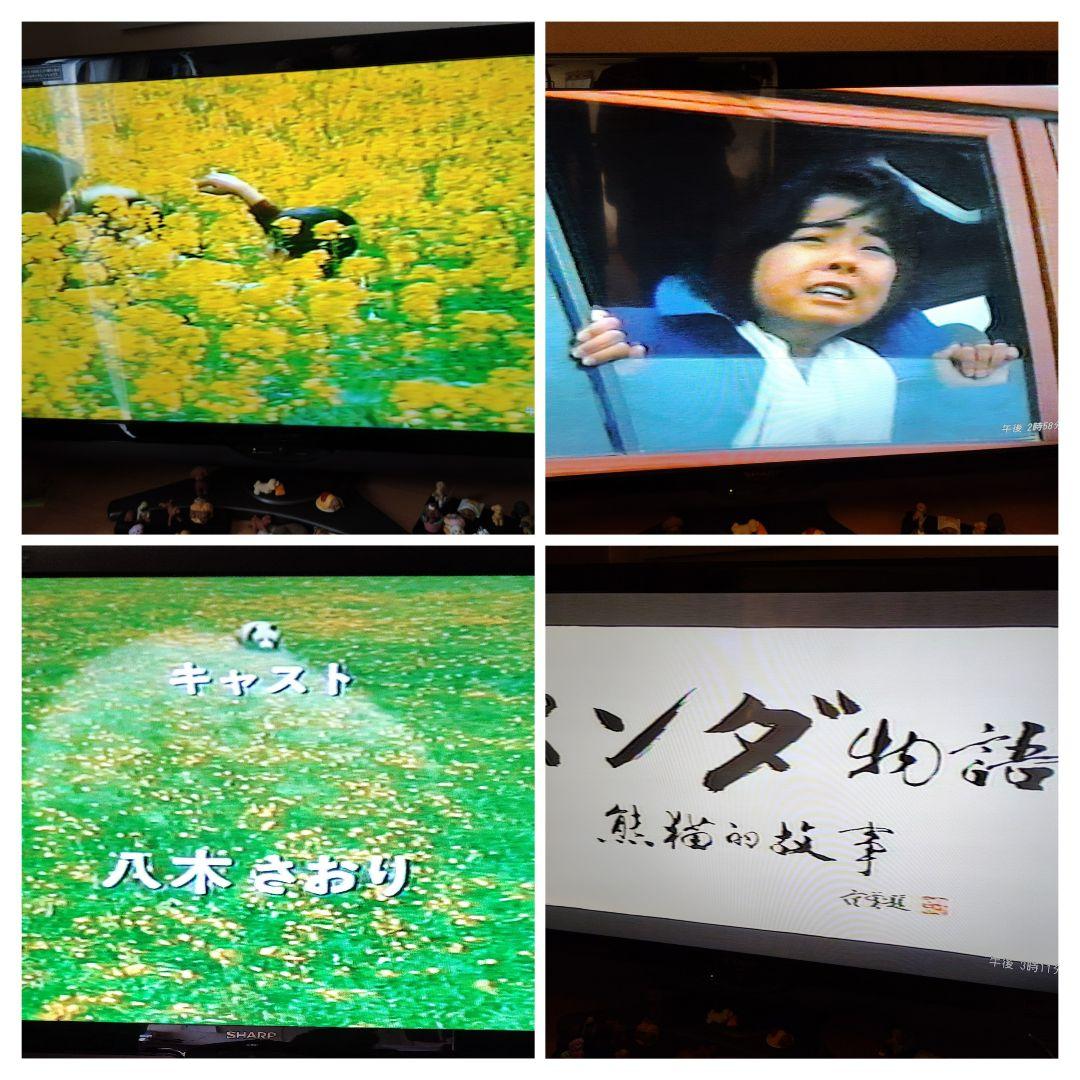 八木さおり 激レア7点セット 直筆サイン パンダ物語VHS リマスターCD