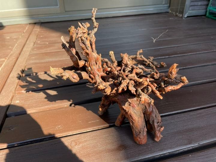 天然木 オブジェ 根っこ ③ 天然木 枯れ木 木の 根 切り株 流木