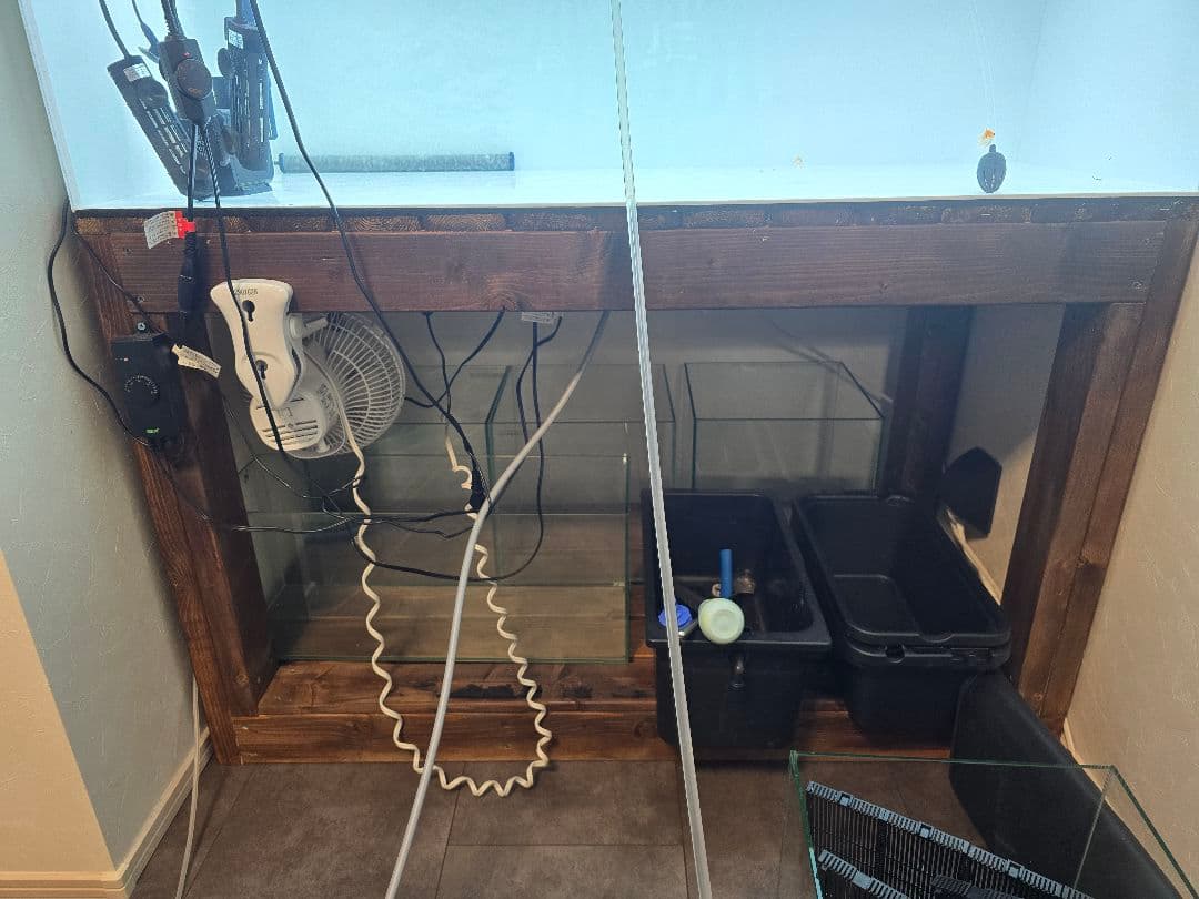 １２０cm水槽　引き取り限定