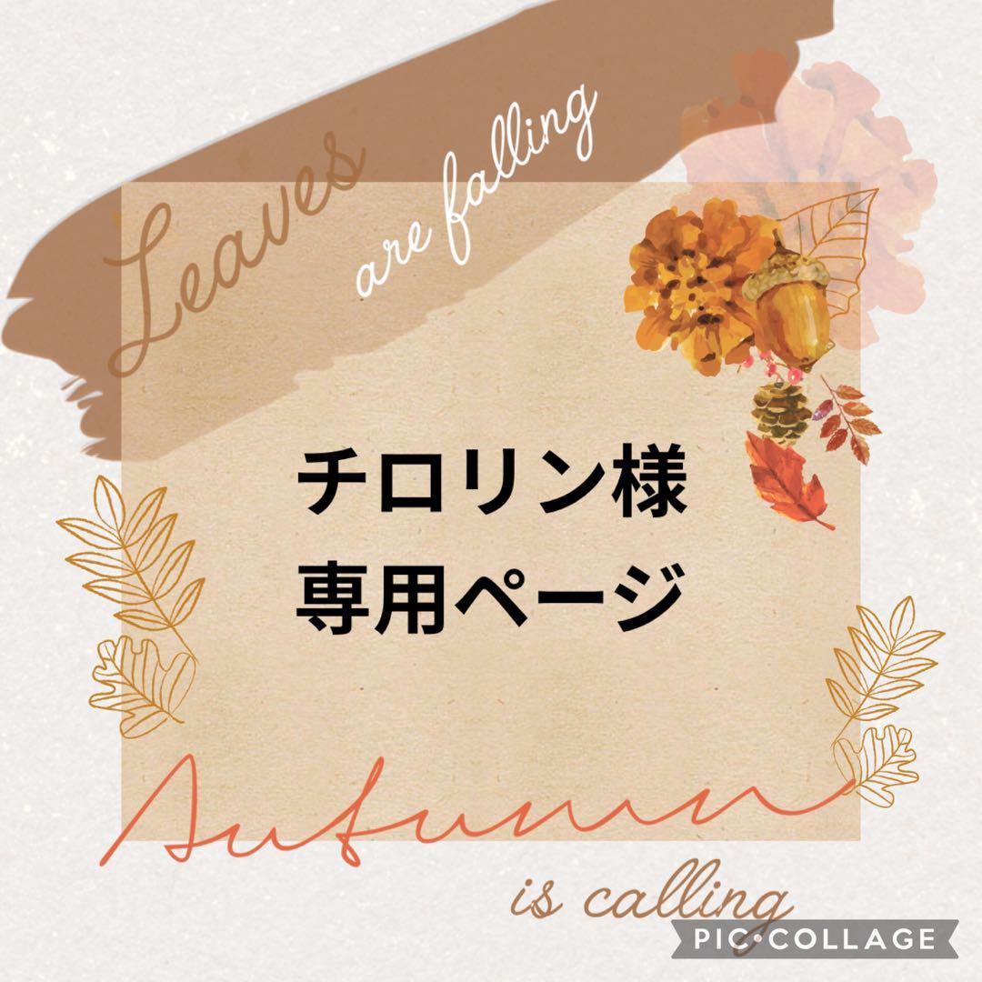 チロリンページ 新製品情報】Ninja ZX-4RR / ZX-4R SE レーシングマフラーIKAZUCHI 3