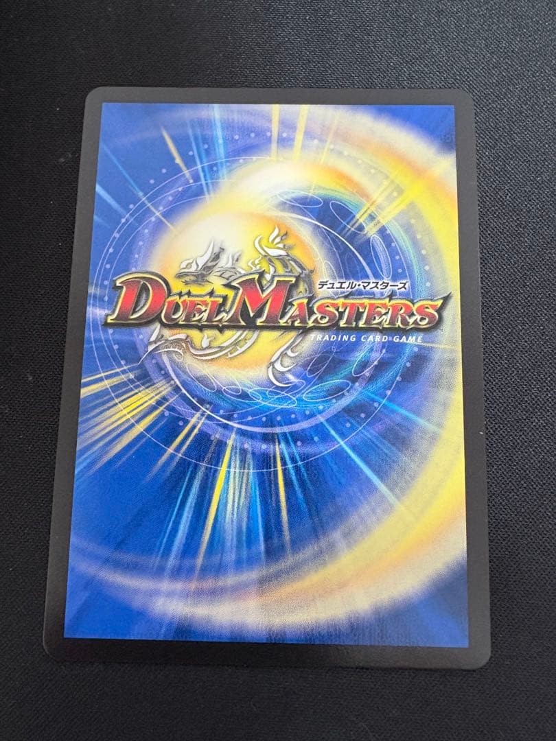 水上第九院 シャコガイル b