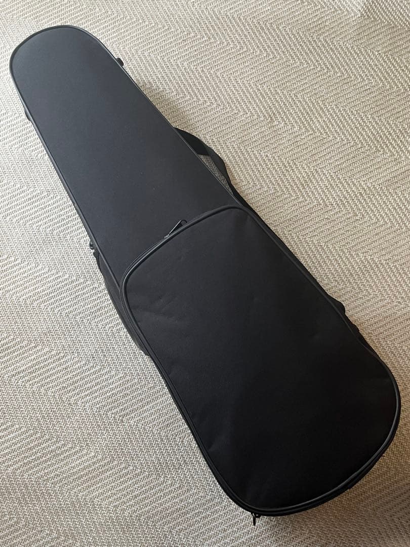 カルロジョルダーノ VS2 4/4バイオリン　ケース　肩当て　ミュート付き