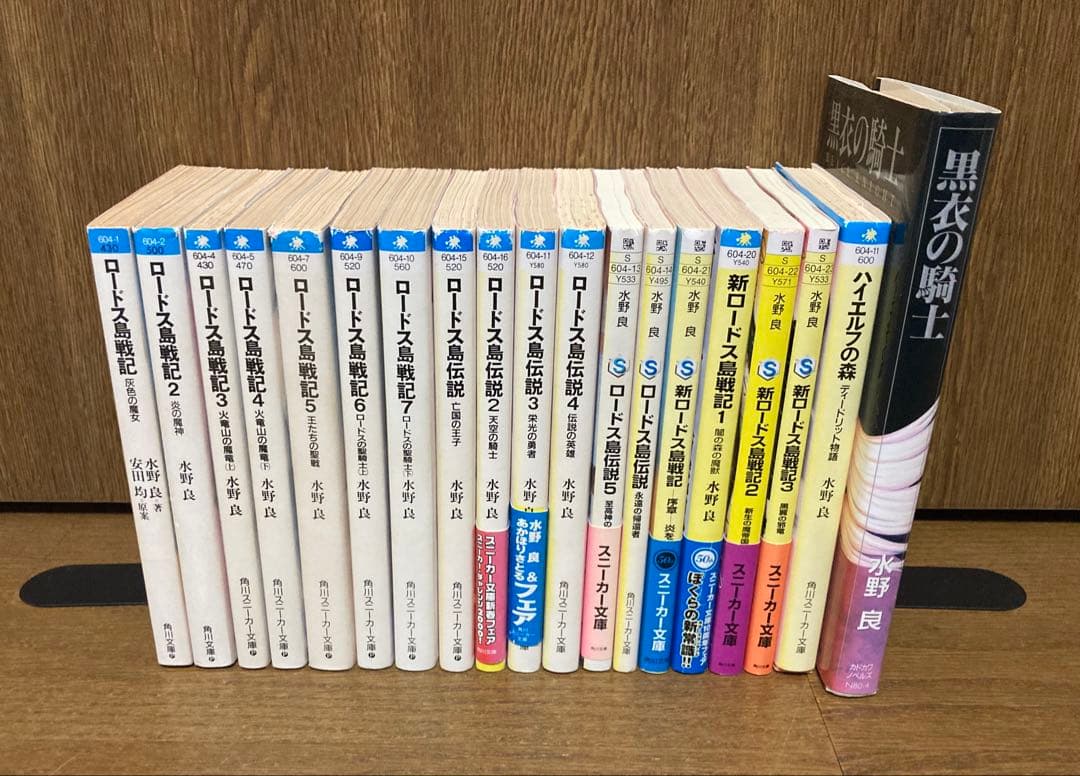 【小説】　ロードス島戦記　19冊セット　水野良 小説】 ロードス島戦記 19冊セット 水野良｜小説】 ロードス島戦記 19冊