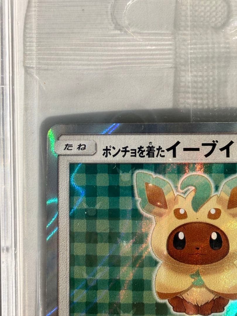 ポンチョを着たイーブイ（リーフィア） プロモ　未開封パック