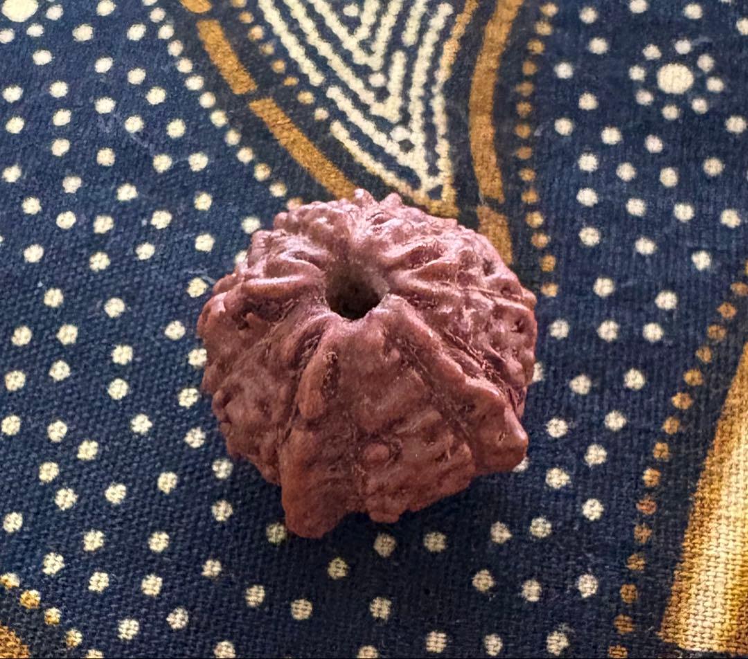 ✰︎‪ 琥珀 ✰ ✰︎　　ルドラクシャブレスレット　トップॐ