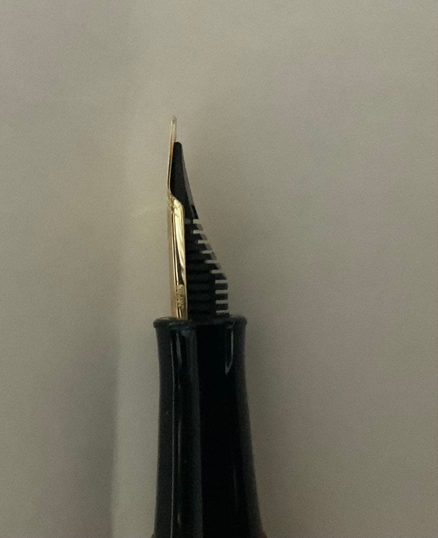 プラチナ万年筆　ブライヤー　ペン先14K F 最終値下げ　おまけあり