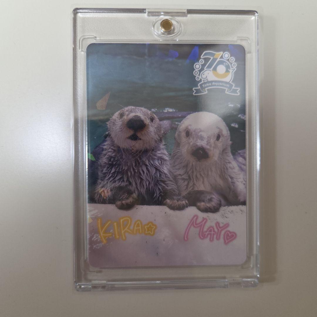 鳥羽水族館 コレクションカード レア メイ キラ - メルカリ
