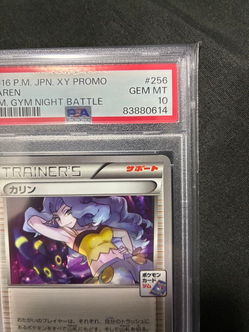 世界237枚 PSA10 カリン ジム 2016 256 63 サポート