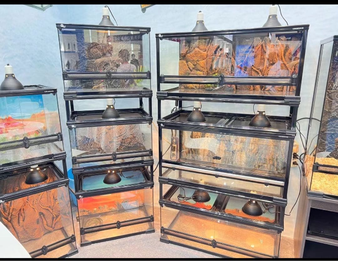 爬虫類用品卸 爬虫類飼育ガラスケージ両生類飼育ケージ603030(cm)送料込み