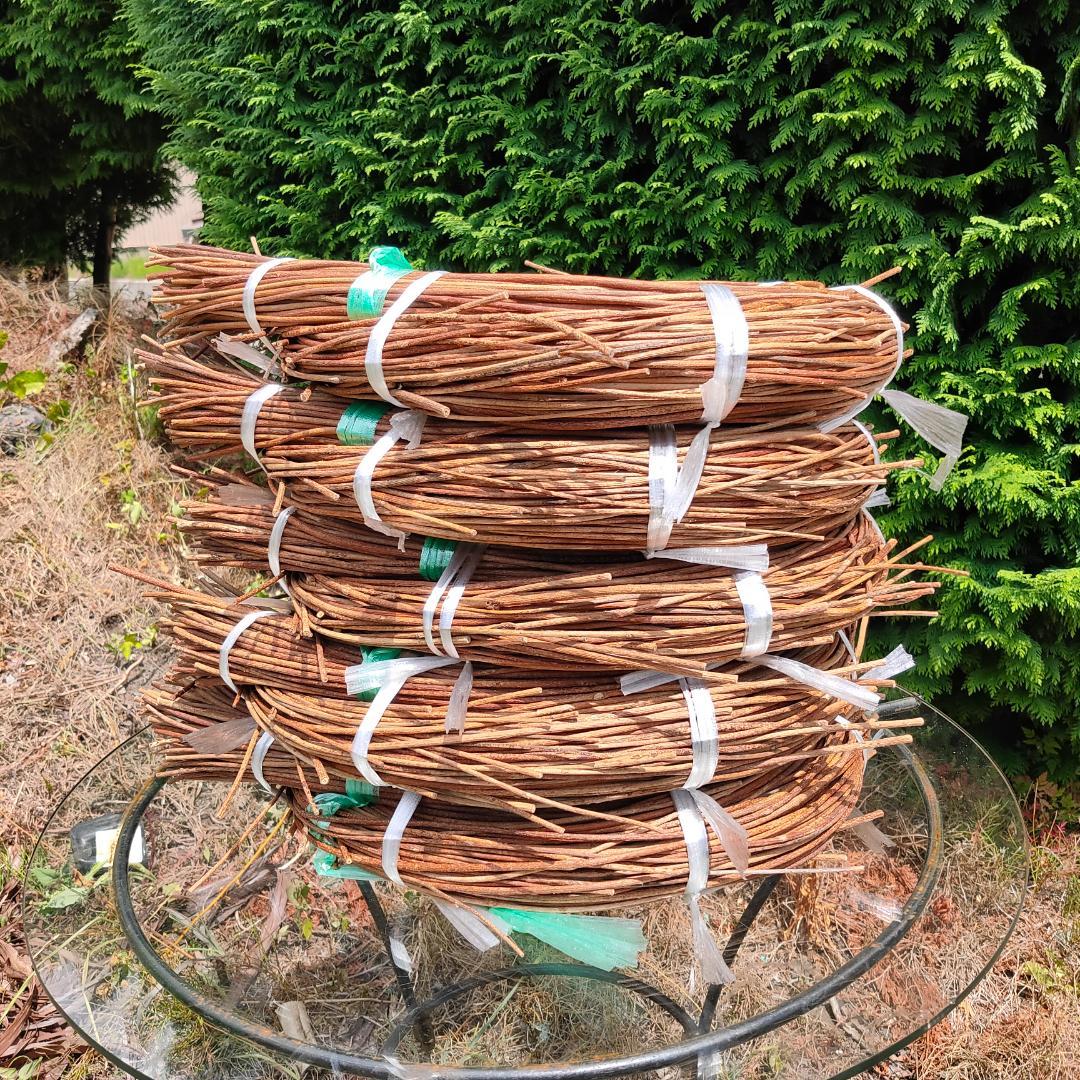 hkeplk　青森岩木山採取　あけび蔓　150cm～ 5kg