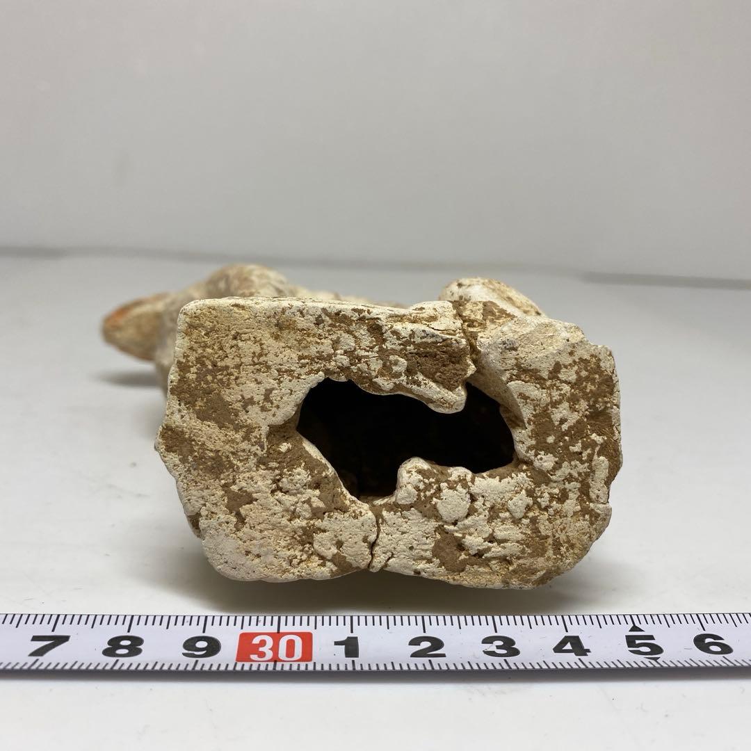 中国宋時代　加彩犬置物　高さ約13.7㎝　東さ7-1102☆2F