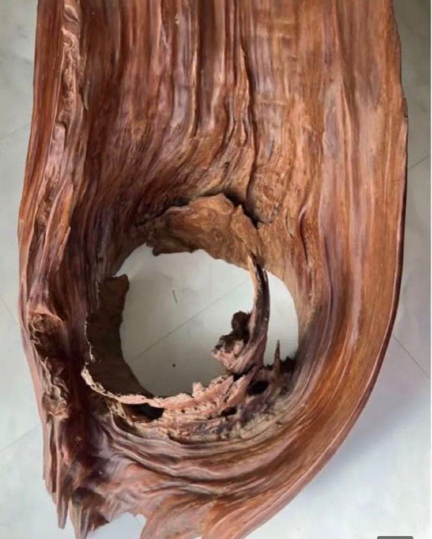 屋久杉台座屋久杉飾り台屋久杉工芸品置台屋久杉希少置き台世界遺産