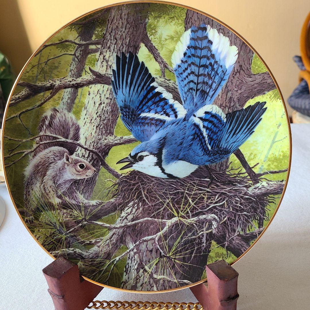 A.Jルディシルプレート12枚セット