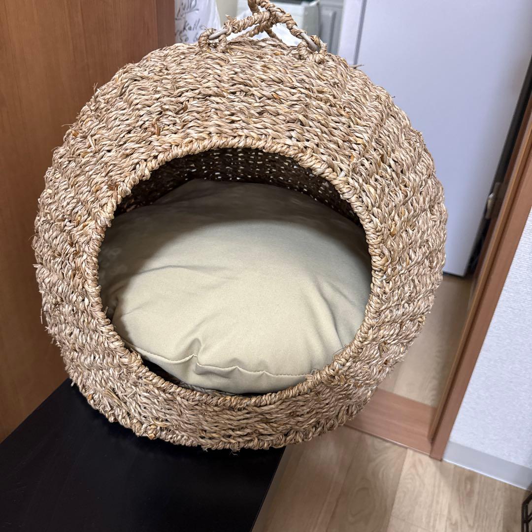 Hydna 26 ワイヤー付き