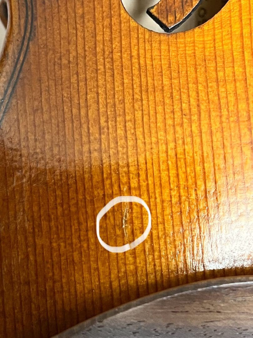 Roderich Paesold PA805J 黒澤楽器店60周年記念モデル