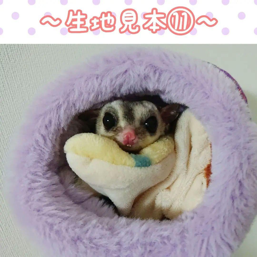 モモンガハウス（ひよ子のパン柄） 冬・春・秋仕様 ラビットボア ポーチ