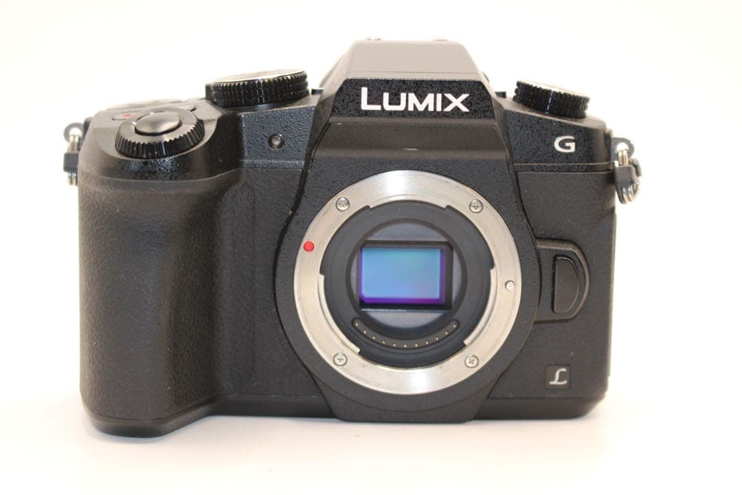 ☆ショット数2622回☆ LUMIX DMC-G8 レンズセット ミラーレス