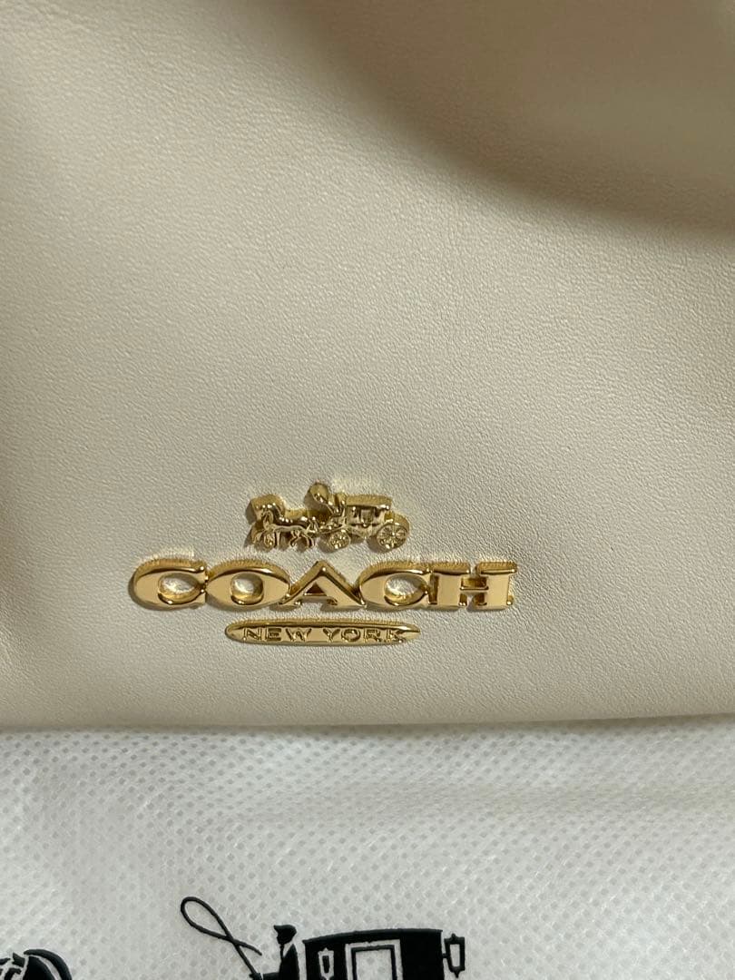 COACH フェイドローストロングバッグ