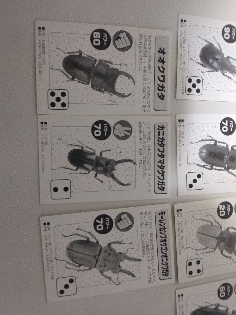 昆虫トレーディングカード 15枚セット