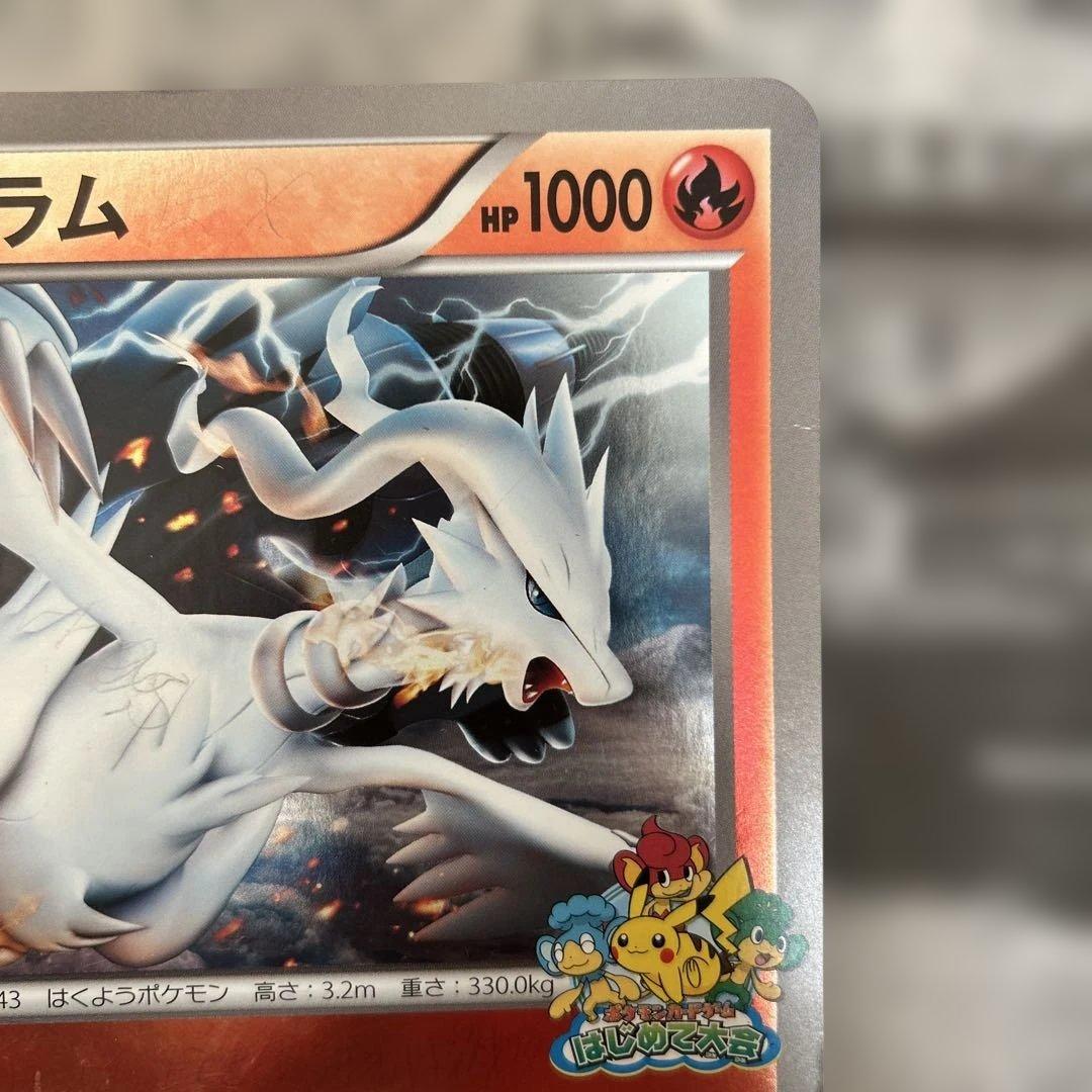 ポケモンカードゲームはじめて大会　チラーミィ　レシラム2枚セット