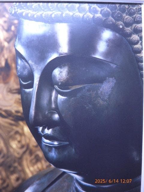 並河萬里 [薬師寺薬師如来] オリジナルプリント 限定 エディション