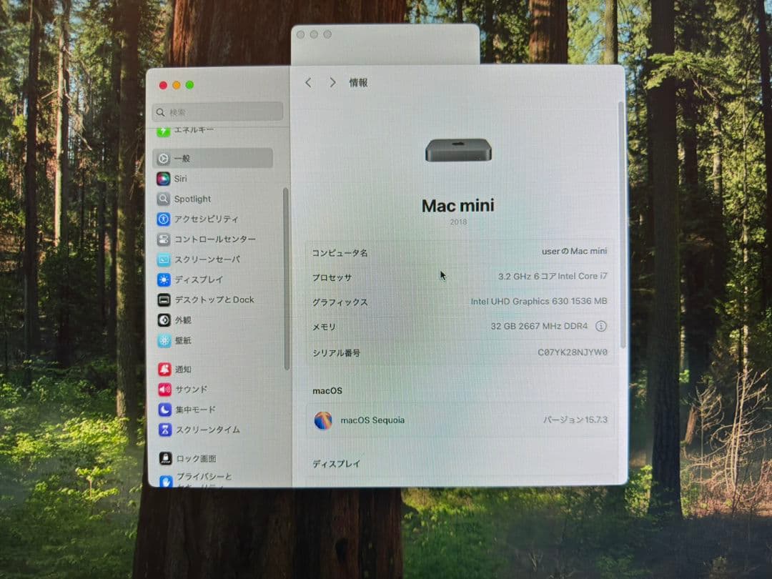 Macデスクトップ Mac mini 2018 i7 3.2GHz 32GB SSD256GB