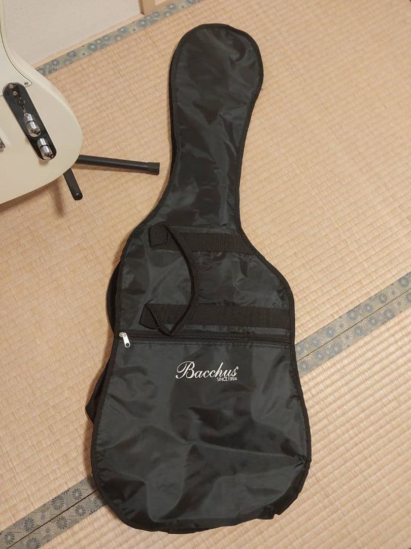 エレキギター Bacchus BTE-2-RSM/M OWH