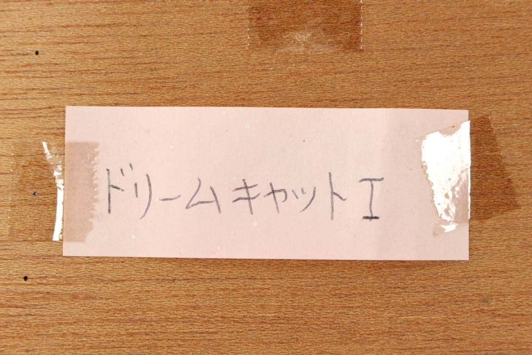 No5298 額装　深津静男　「ドリームキャット I」　油彩画4号　送料無料