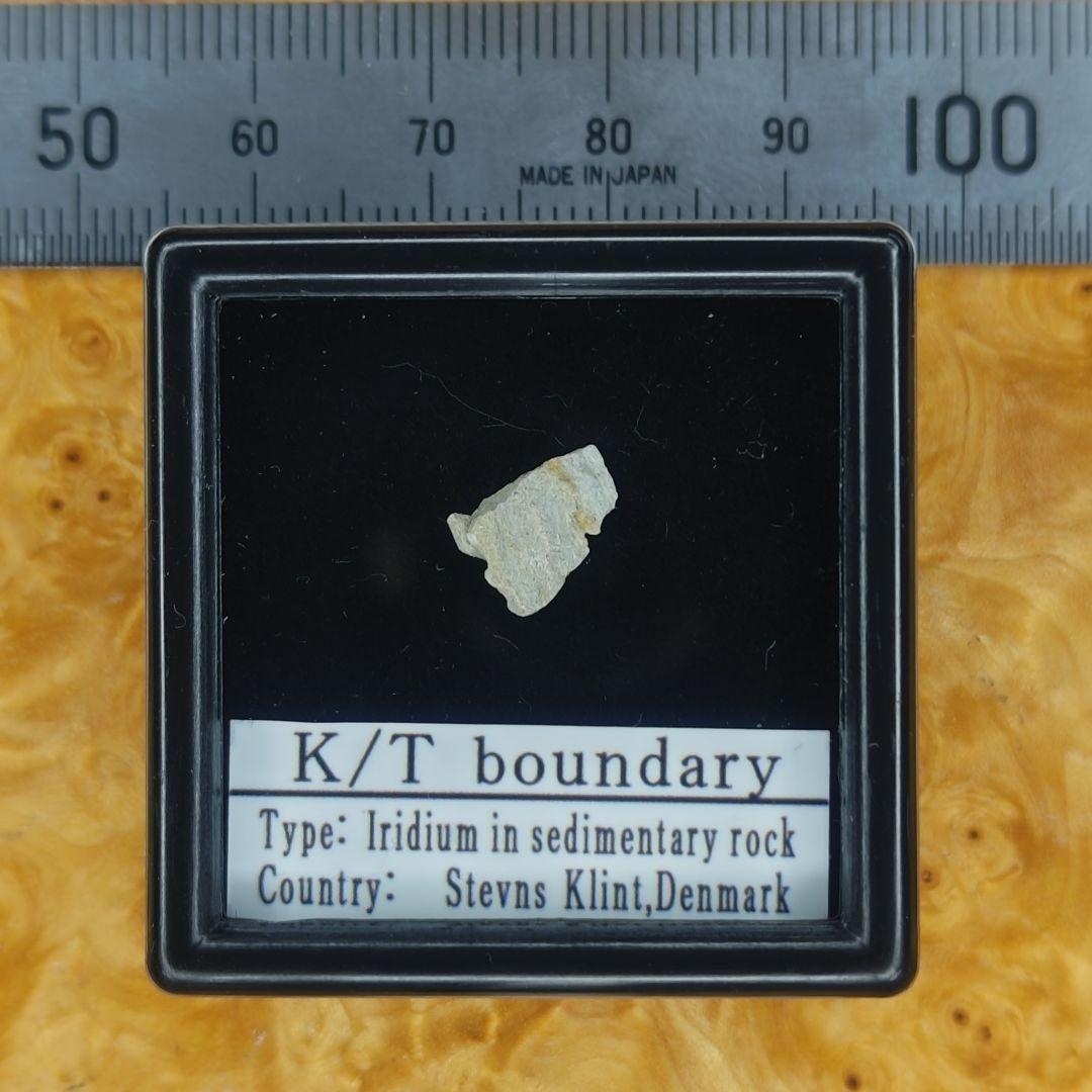 入手不可！小惑星のかけら K-T境界層（K/Pg境界頁岩）標本