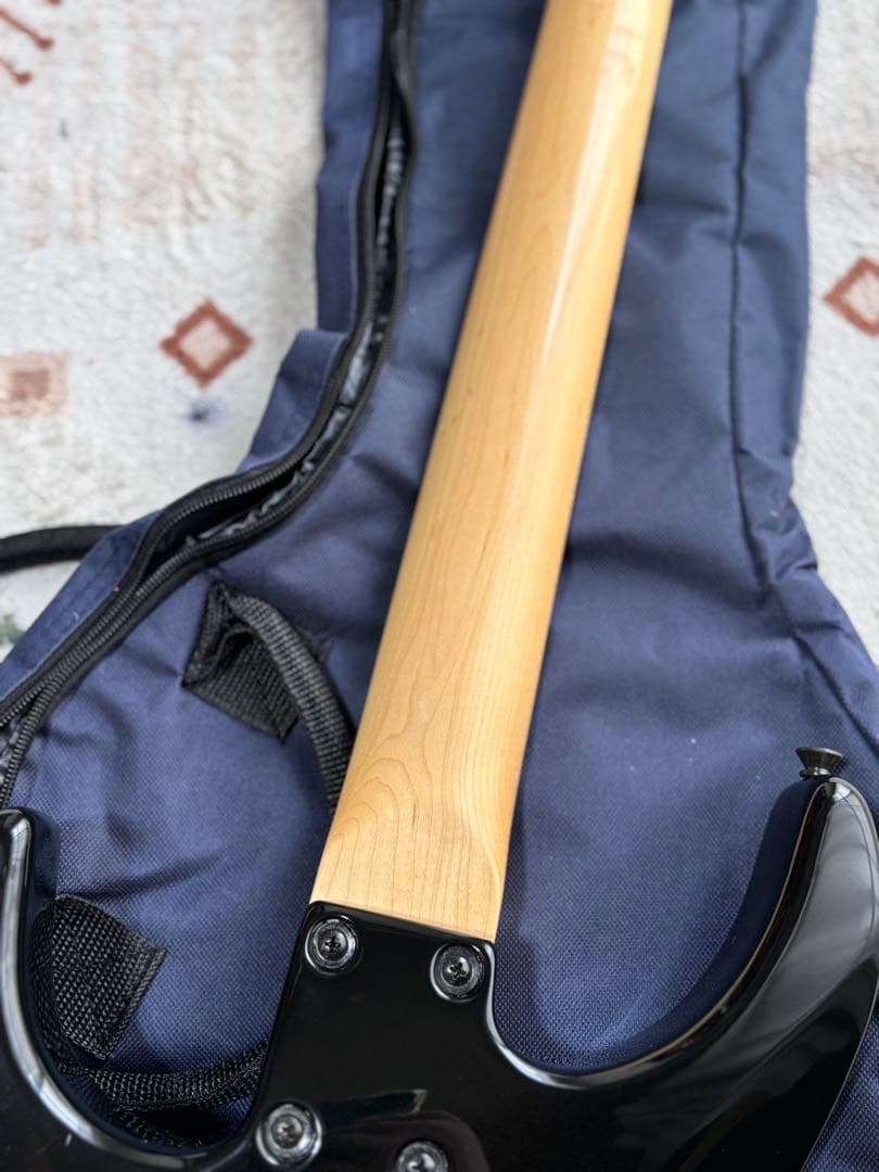 メンテナンス済み美品！　フェルナンデス　FR55